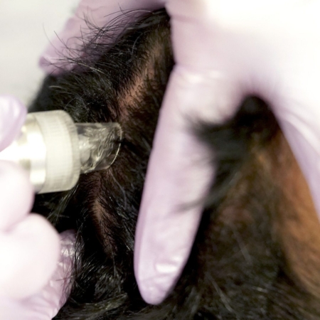 HydroJEM™ Scalp renew tips